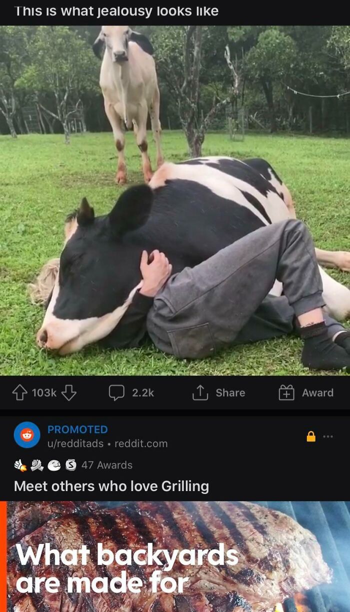 64 Times Boring Ads Became Much More Interesting And Hilarious Because Of Their Placement 64 Times Boring Ads Became Much More Interesting And Hilarious Because Of Their Placement
