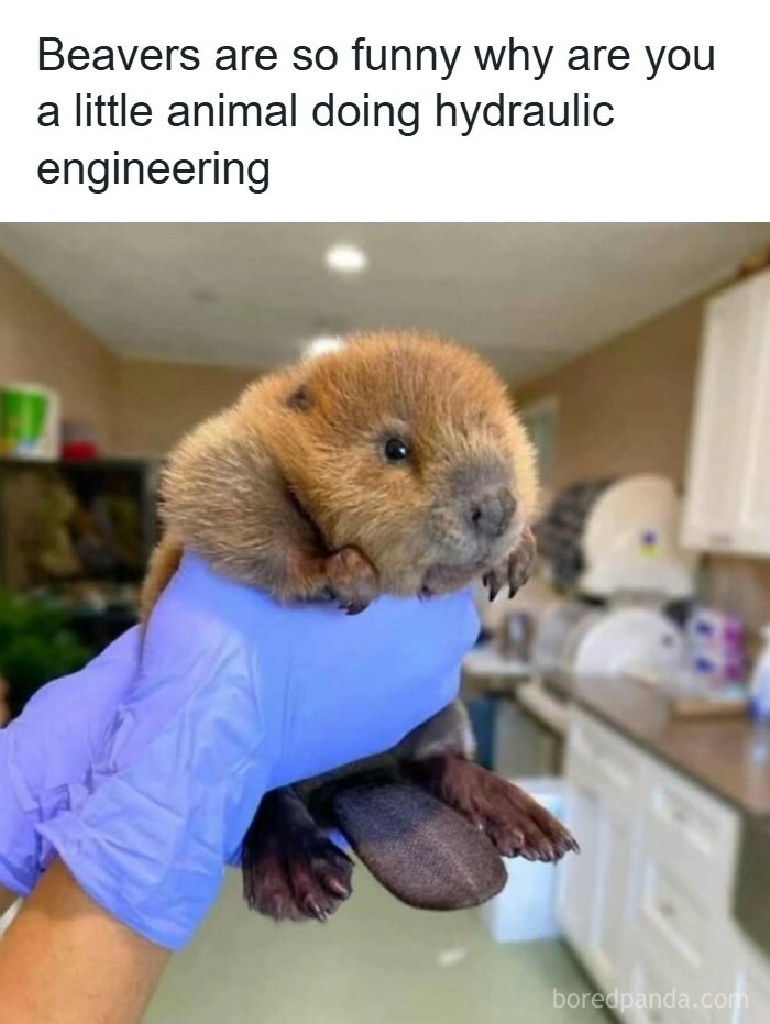 82 Funny Memes For People Who Don’t Take Science Too Seriously (New Pics) 82 Funny Memes For People Who Don’t Take Science Too Seriously (New Pics)