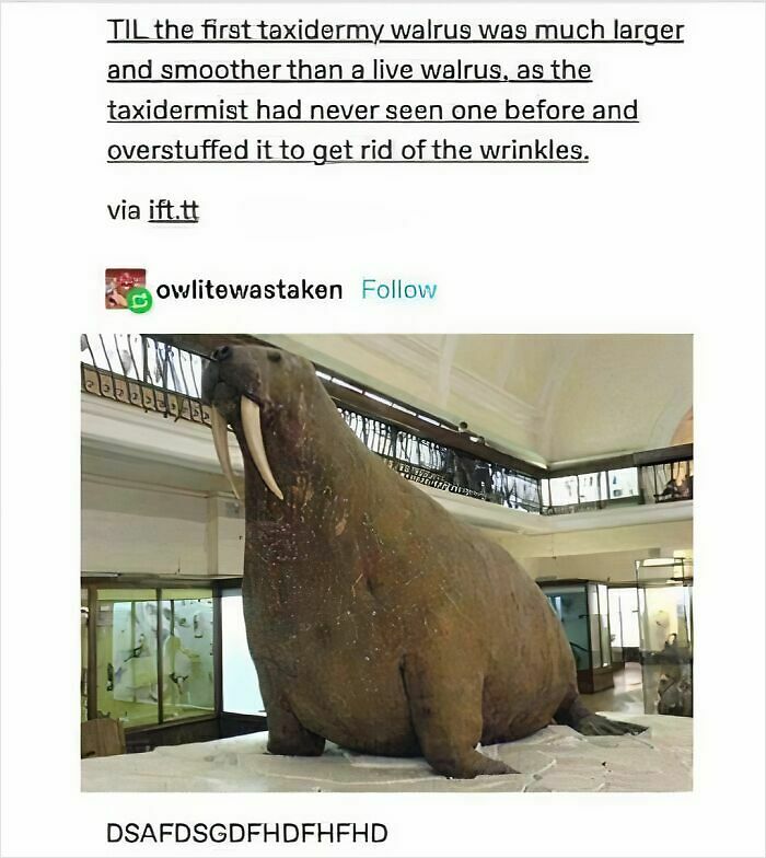 82 Funny Memes For People Who Don’t Take Science Too Seriously (New Pics) 82 Funny Memes For People Who Don’t Take Science Too Seriously (New Pics)