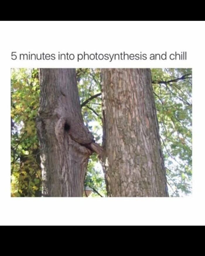 82 Funny Memes For People Who Don’t Take Science Too Seriously (New Pics) 82 Funny Memes For People Who Don’t Take Science Too Seriously (New Pics)