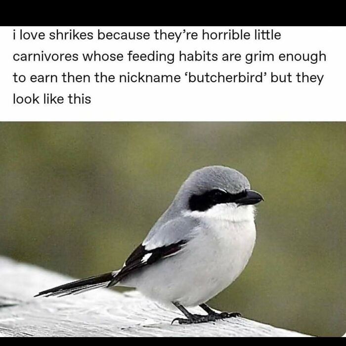 82 Funny Memes For People Who Don’t Take Science Too Seriously (New Pics) 82 Funny Memes For People Who Don’t Take Science Too Seriously (New Pics)