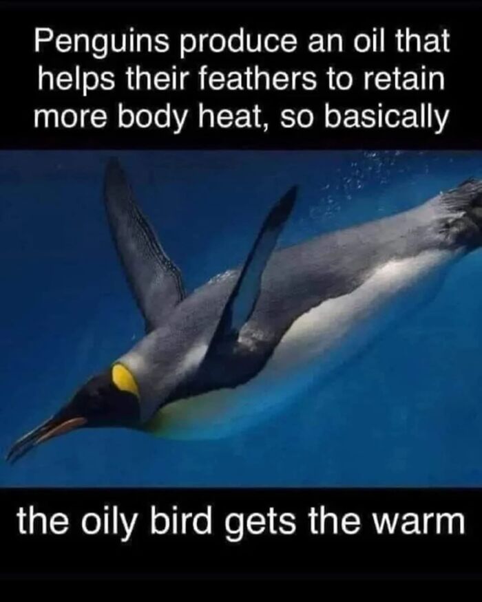 82 Funny Memes For People Who Don’t Take Science Too Seriously (New Pics) 82 Funny Memes For People Who Don’t Take Science Too Seriously (New Pics)