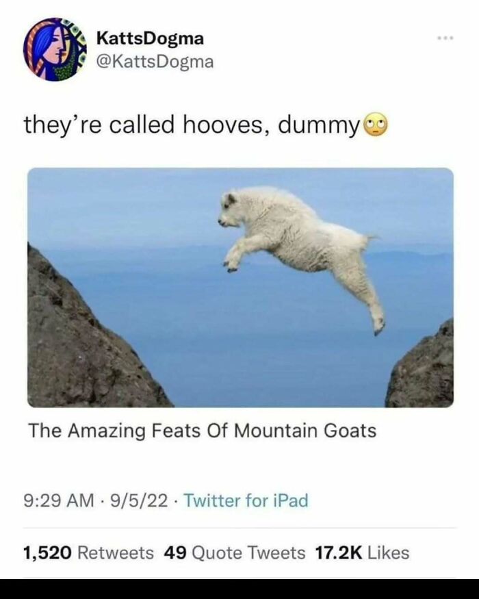 82 Funny Memes For People Who Don’t Take Science Too Seriously (New Pics) 82 Funny Memes For People Who Don’t Take Science Too Seriously (New Pics)