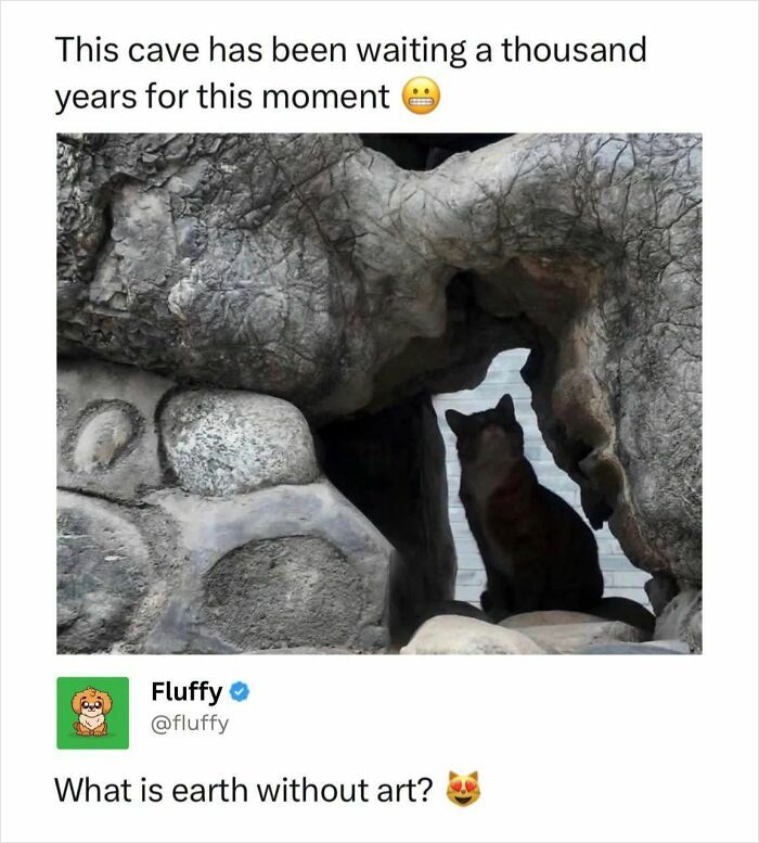 72 Wholesome Animal Memes That Might Heal Your Tired Soul 72 Wholesome Animal Memes That Might Heal Your Tired Soul