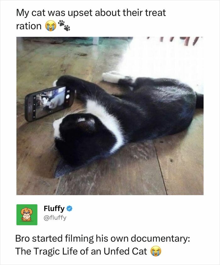 72 Wholesome Animal Memes That Might Heal Your Tired Soul 72 Wholesome Animal Memes That Might Heal Your Tired Soul