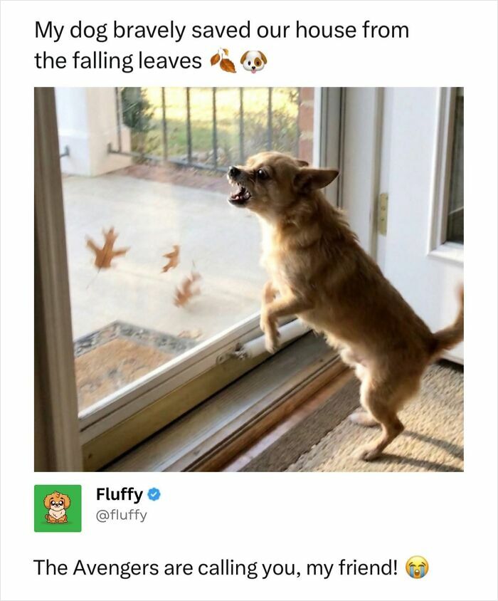 72 Wholesome Animal Memes That Might Heal Your Tired Soul 72 Wholesome Animal Memes That Might Heal Your Tired Soul