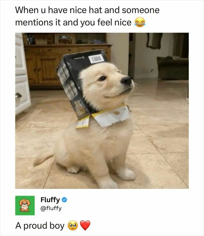 72 Wholesome Animal Memes That Might Heal Your Tired Soul 72 Wholesome Animal Memes That Might Heal Your Tired Soul