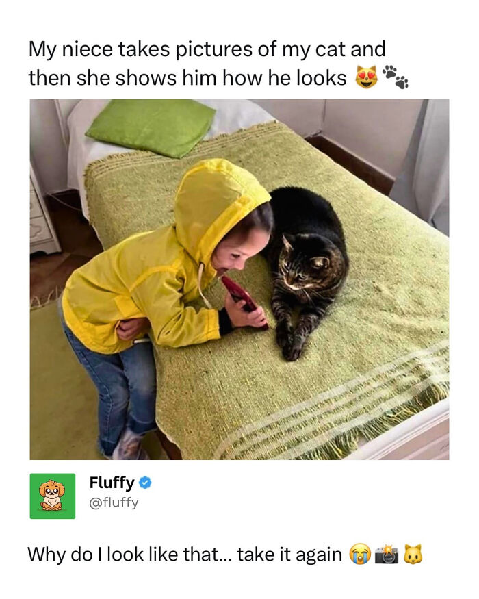 72 Wholesome Animal Memes That Might Heal Your Tired Soul 72 Wholesome Animal Memes That Might Heal Your Tired Soul