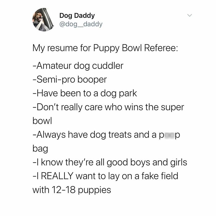 This Page Shared 38 Funny Dog Memes That Might Put You In A Better Mood