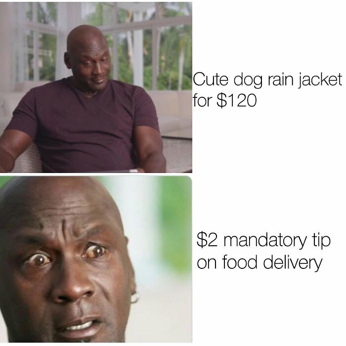 This Page Shared 38 Funny Dog Memes That Might Put You In A Better Mood