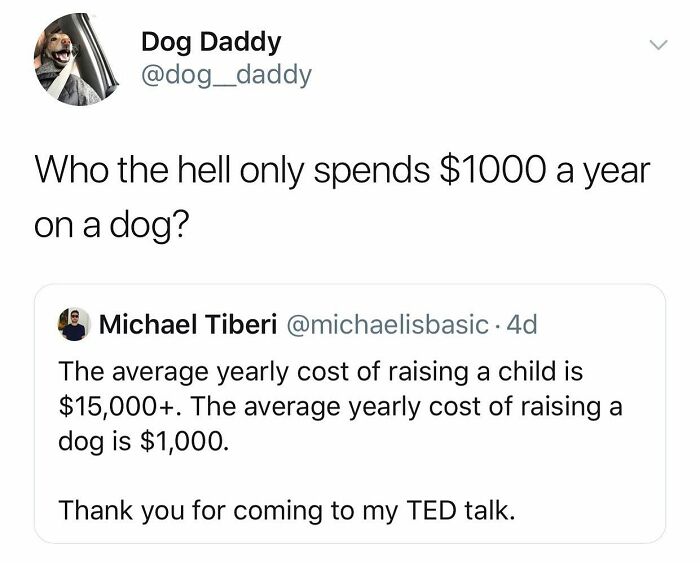 This Page Shared 38 Funny Dog Memes That Might Put You In A Better Mood