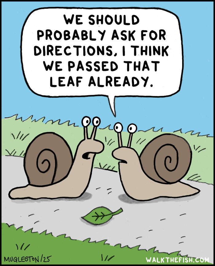 ‘Walk The Fish’: 30 Comics Where Everyone Treats The Most Ridiculous Situations Like It’s Totally Normal ‘Walk The Fish’: 30 Comics Where Everyone Treats The Most Ridiculous Situations Like It’s Totally Normal