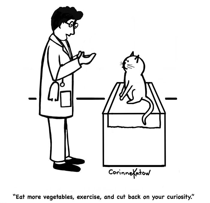 40 Clever Single-Panel Cartoons By Corinne Katow That Turn Everyday Life Into Brilliant Jokes 40 Clever Single-Panel Cartoons By Corinne Katow That Turn Everyday Life Into Brilliant Jokes