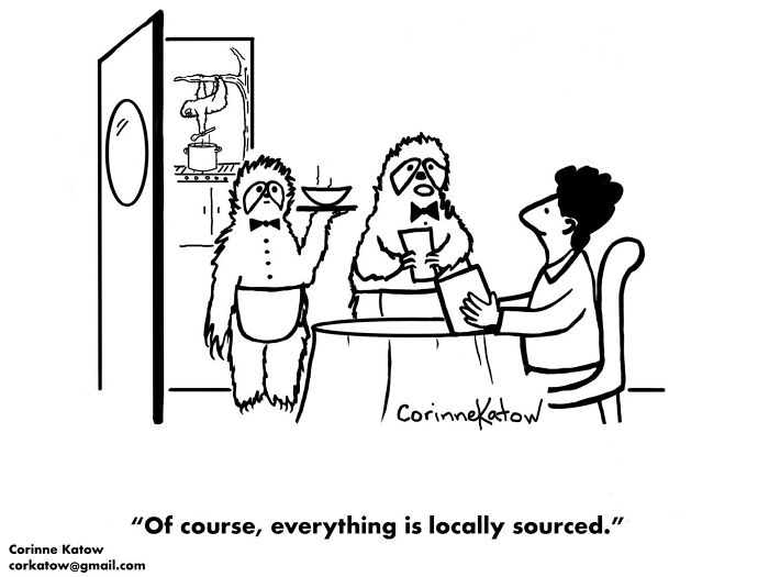 40 Clever Single-Panel Cartoons By Corinne Katow That Turn Everyday Life Into Brilliant Jokes 40 Clever Single-Panel Cartoons By Corinne Katow That Turn Everyday Life Into Brilliant Jokes