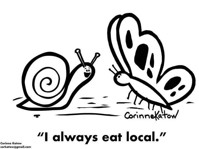 40 Clever Single-Panel Cartoons By Corinne Katow That Turn Everyday Life Into Brilliant Jokes 40 Clever Single-Panel Cartoons By Corinne Katow That Turn Everyday Life Into Brilliant Jokes