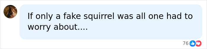 Neighbor Battle Over Ornamental Squirrel Results In Loser Facing Huge Court Bill Neighbor Battle Over Ornamental Squirrel Results In Loser Facing Huge Court Bill