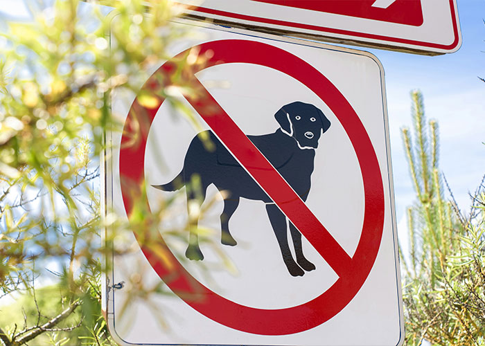 67 Dog Breeds May Soon Be Banned In The UK—Is Your Pooch On The List? 67 Dog Breeds May Soon Be Banned In The UK—Is Your Pooch On The List?