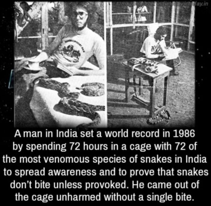 These 41 Amazing World Records Throughout History Are Simply Too Hard To Beat These 41 Amazing World Records Throughout History Are Simply Too Hard To Beat