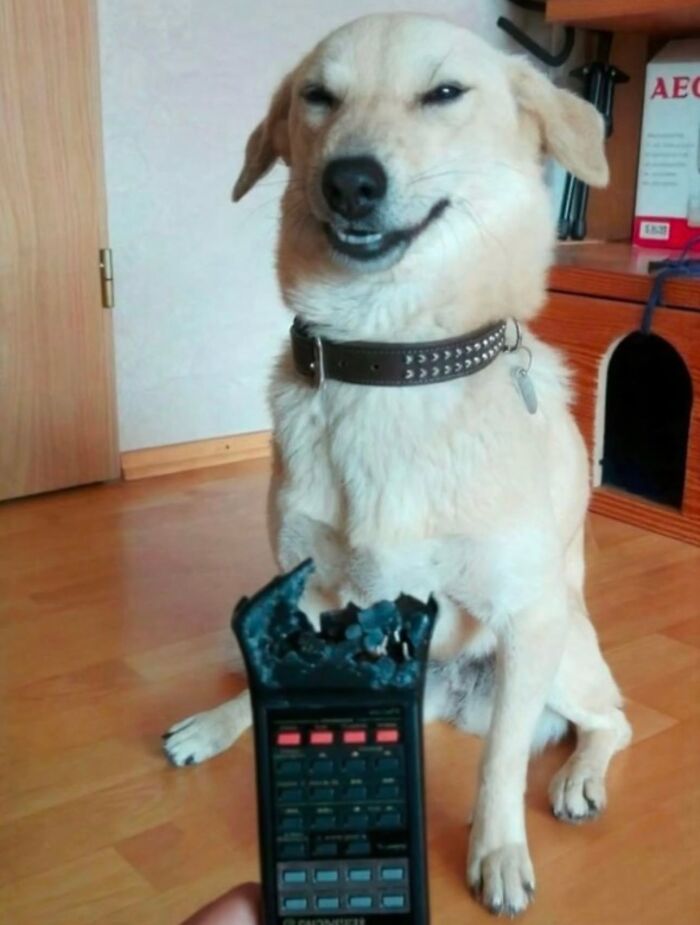75 Weirdly Confusing Pics That Are Here To Remind You That Nothing Makes Sense Anymore 75 Weirdly Confusing Pics That Are Here To Remind You That Nothing Makes Sense Anymore