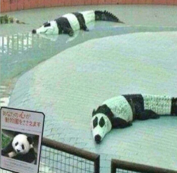 75 Weirdly Confusing Pics That Are Here To Remind You That Nothing Makes Sense Anymore 75 Weirdly Confusing Pics That Are Here To Remind You That Nothing Makes Sense Anymore