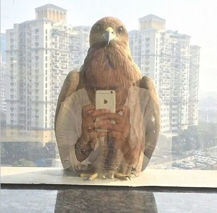 75 Weirdly Confusing Pics That Are Here To Remind You That Nothing Makes Sense Anymore 75 Weirdly Confusing Pics That Are Here To Remind You That Nothing Makes Sense Anymore