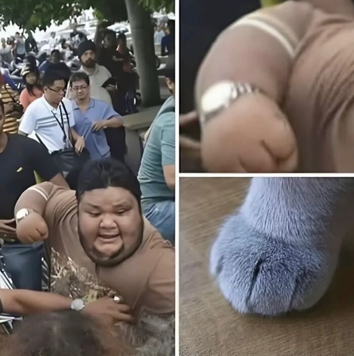 75 Weirdly Confusing Pics That Are Here To Remind You That Nothing Makes Sense Anymore 75 Weirdly Confusing Pics That Are Here To Remind You That Nothing Makes Sense Anymore