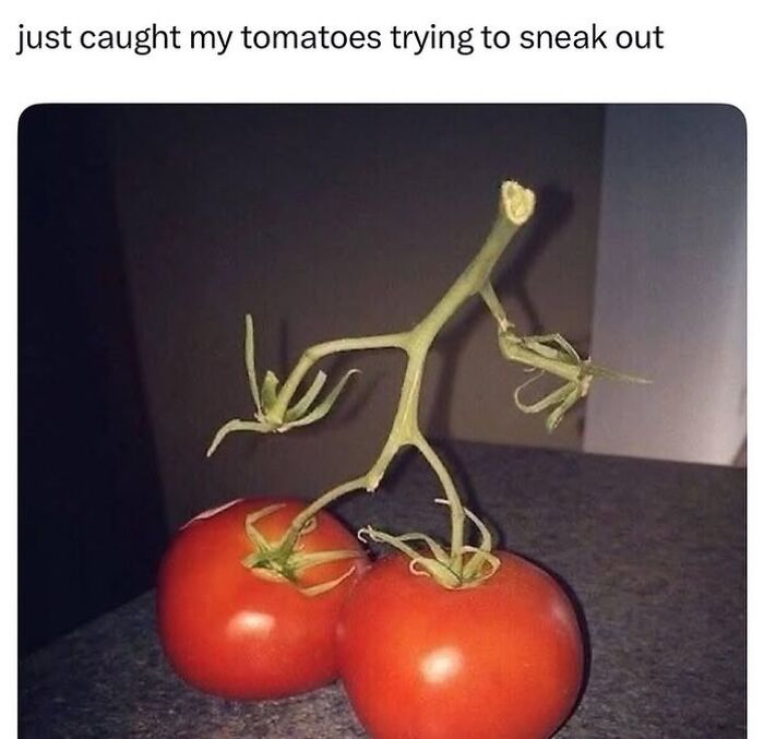 75 Weirdly Confusing Pics That Are Here To Remind You That Nothing Makes Sense Anymore 75 Weirdly Confusing Pics That Are Here To Remind You That Nothing Makes Sense Anymore