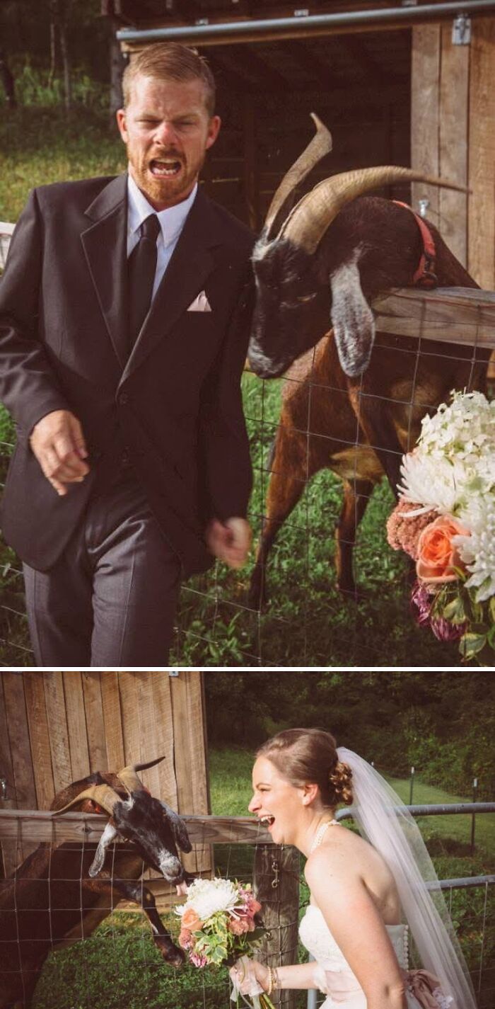 82 Funny Wedding Photos That Are Actually Iconic