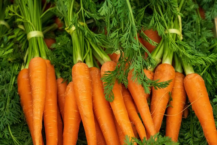 37 Misconceptions That People Believe Today And It Took Only A Little Bit Of Propaganda 37 Misconceptions That People Believe Today And It Took Only A Little Bit Of Propaganda
