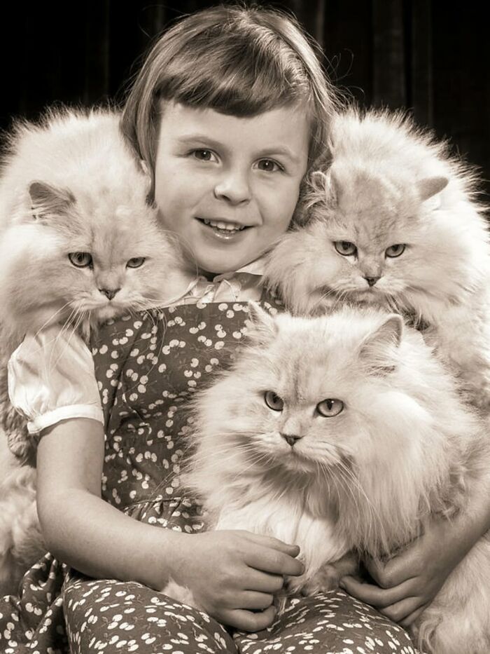 30 Vintage Photos Of Cats That Show Nothing Has Changed In Decades, Collected By This Journalist (New Pics) 30 Vintage Photos Of Cats That Show Nothing Has Changed In Decades, Collected By This Journalist (New Pics)