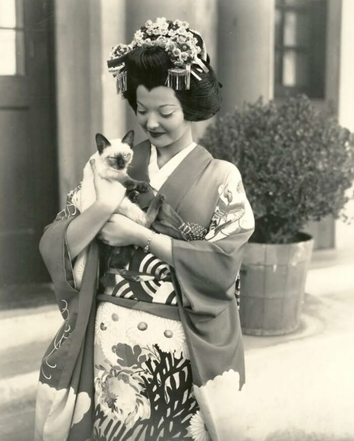 30 Vintage Photos Of Cats That Show Nothing Has Changed In Decades, Collected By This Journalist (New Pics) 30 Vintage Photos Of Cats That Show Nothing Has Changed In Decades, Collected By This Journalist (New Pics)