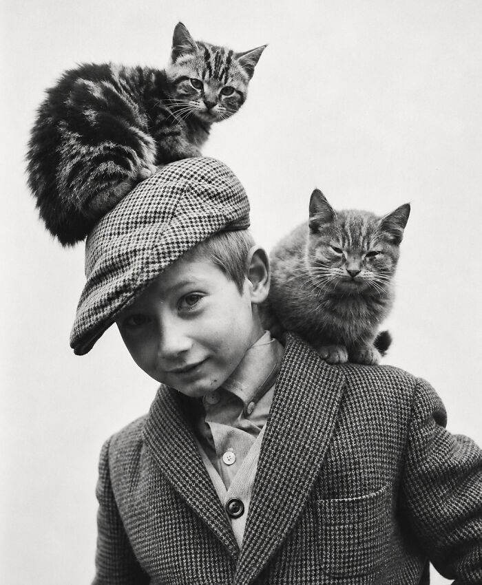 30 Vintage Photos Of Cats That Show Nothing Has Changed In Decades, Collected By This Journalist (New Pics) 30 Vintage Photos Of Cats That Show Nothing Has Changed In Decades, Collected By This Journalist (New Pics)