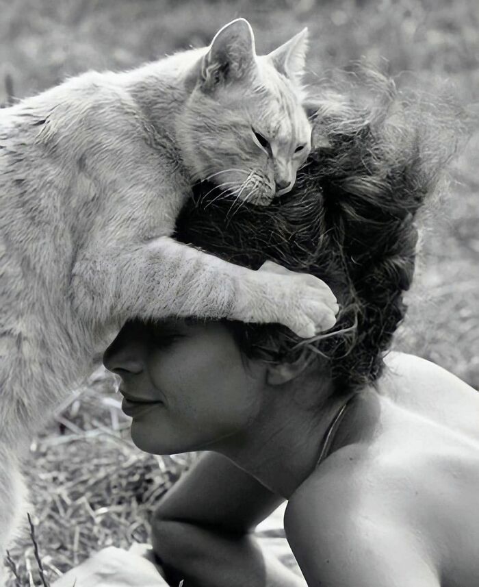 30 Vintage Photos Of Cats That Show Nothing Has Changed In Decades, Collected By This Journalist (New Pics) 30 Vintage Photos Of Cats That Show Nothing Has Changed In Decades, Collected By This Journalist (New Pics)