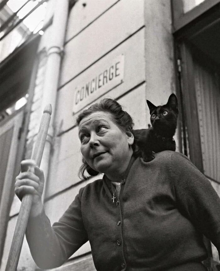 30 Vintage Photos Of Cats That Show Nothing Has Changed In Decades, Collected By This Journalist (New Pics) 30 Vintage Photos Of Cats That Show Nothing Has Changed In Decades, Collected By This Journalist (New Pics)