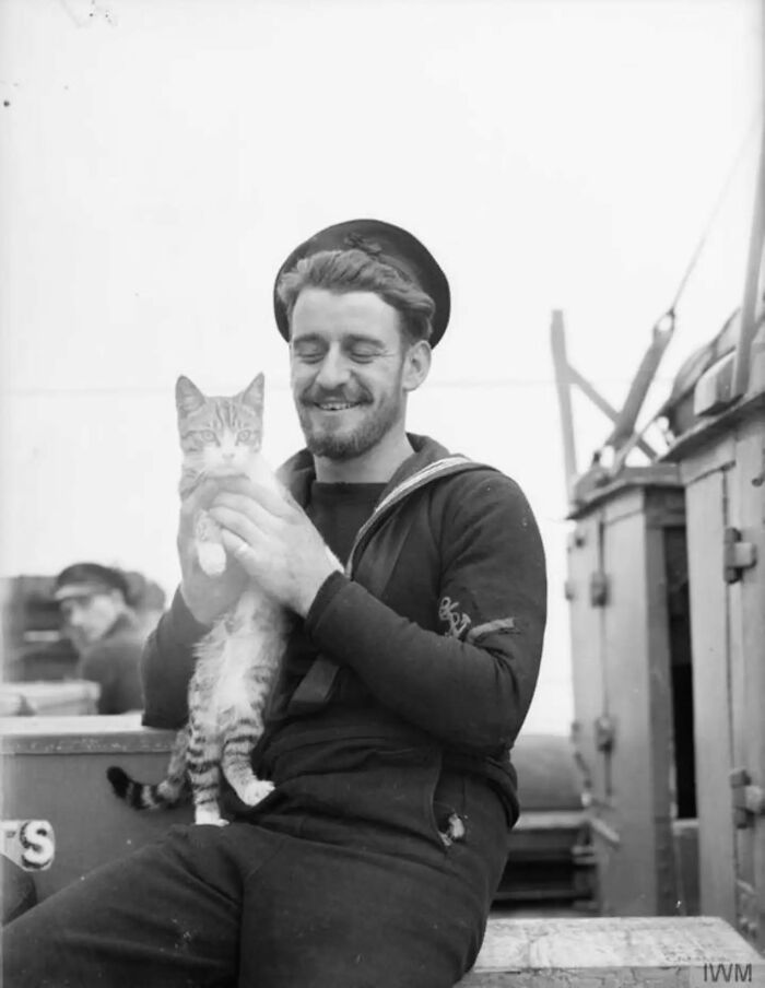 30 Vintage Photos Of Cats That Show Nothing Has Changed In Decades, Collected By This Journalist (New Pics) 30 Vintage Photos Of Cats That Show Nothing Has Changed In Decades, Collected By This Journalist (New Pics)