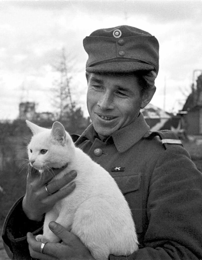 30 Vintage Photos Of Cats That Show Nothing Has Changed In Decades, Collected By This Journalist (New Pics) 30 Vintage Photos Of Cats That Show Nothing Has Changed In Decades, Collected By This Journalist (New Pics)