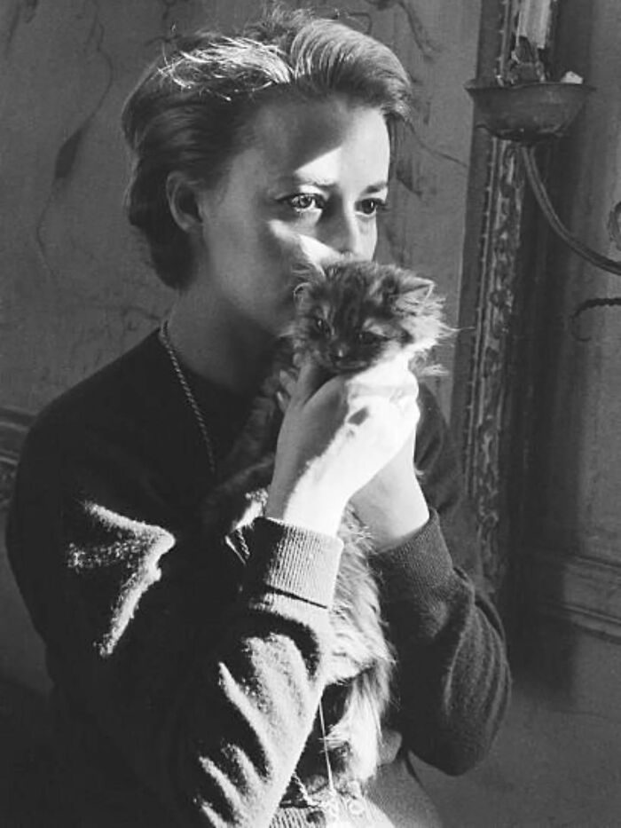 30 Vintage Photos Of Cats That Show Nothing Has Changed In Decades, Collected By This Journalist (New Pics) 30 Vintage Photos Of Cats That Show Nothing Has Changed In Decades, Collected By This Journalist (New Pics)