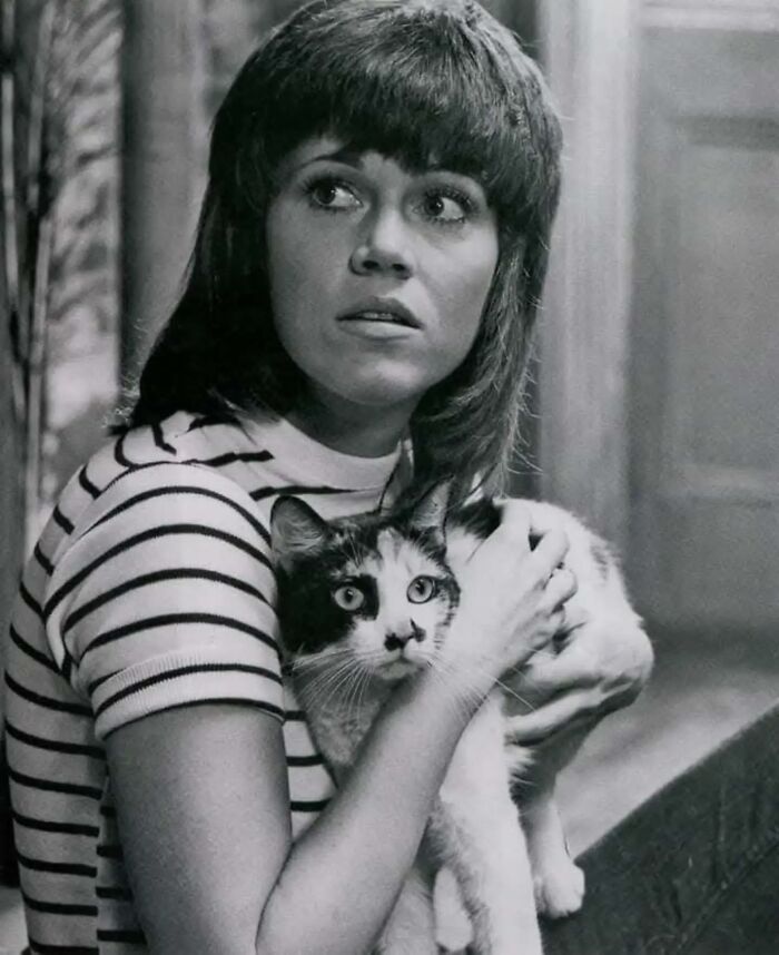 30 Vintage Photos Of Cats That Show Nothing Has Changed In Decades, Collected By This Journalist (New Pics) 30 Vintage Photos Of Cats That Show Nothing Has Changed In Decades, Collected By This Journalist (New Pics)
