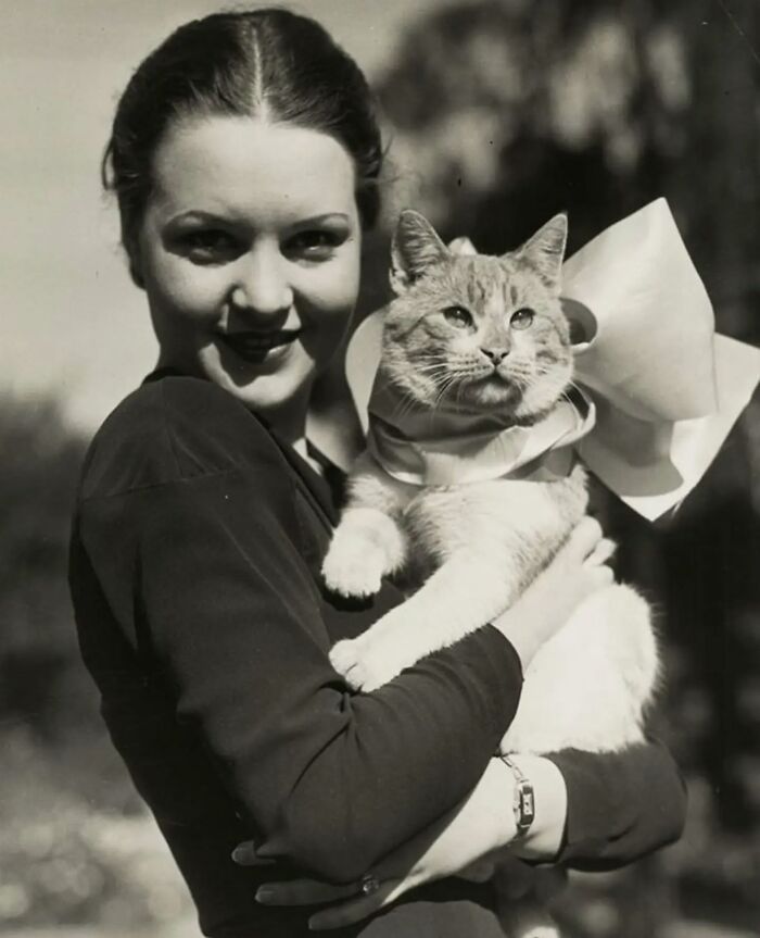 30 Vintage Photos Of Cats That Show Nothing Has Changed In Decades, Collected By This Journalist (New Pics) 30 Vintage Photos Of Cats That Show Nothing Has Changed In Decades, Collected By This Journalist (New Pics)