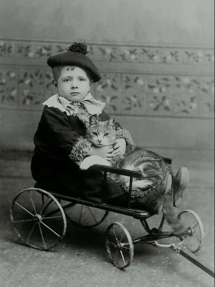 30 Vintage Photos Of Cats That Show Nothing Has Changed In Decades, Collected By This Journalist (New Pics) 30 Vintage Photos Of Cats That Show Nothing Has Changed In Decades, Collected By This Journalist (New Pics)