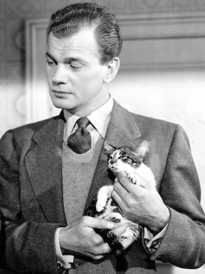 30 Vintage Photos Of Cats That Show Nothing Has Changed In Decades, Collected By This Journalist (New Pics) 30 Vintage Photos Of Cats That Show Nothing Has Changed In Decades, Collected By This Journalist (New Pics)
