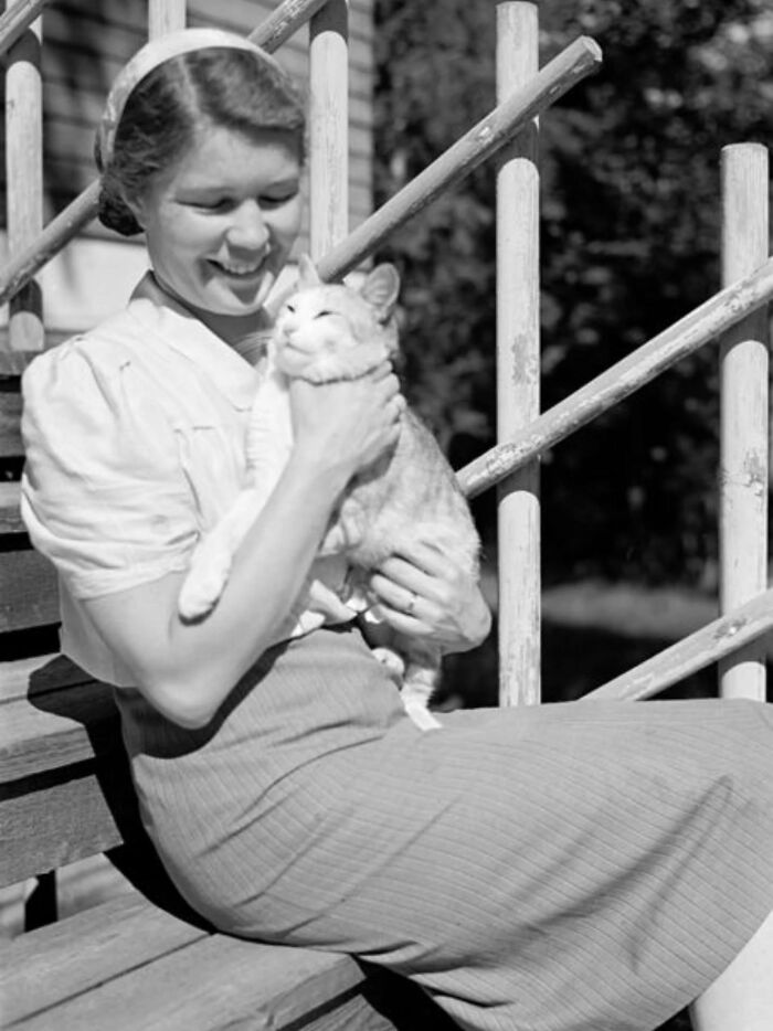 30 Vintage Photos Of Cats That Show Nothing Has Changed In Decades, Collected By This Journalist (New Pics) 30 Vintage Photos Of Cats That Show Nothing Has Changed In Decades, Collected By This Journalist (New Pics)