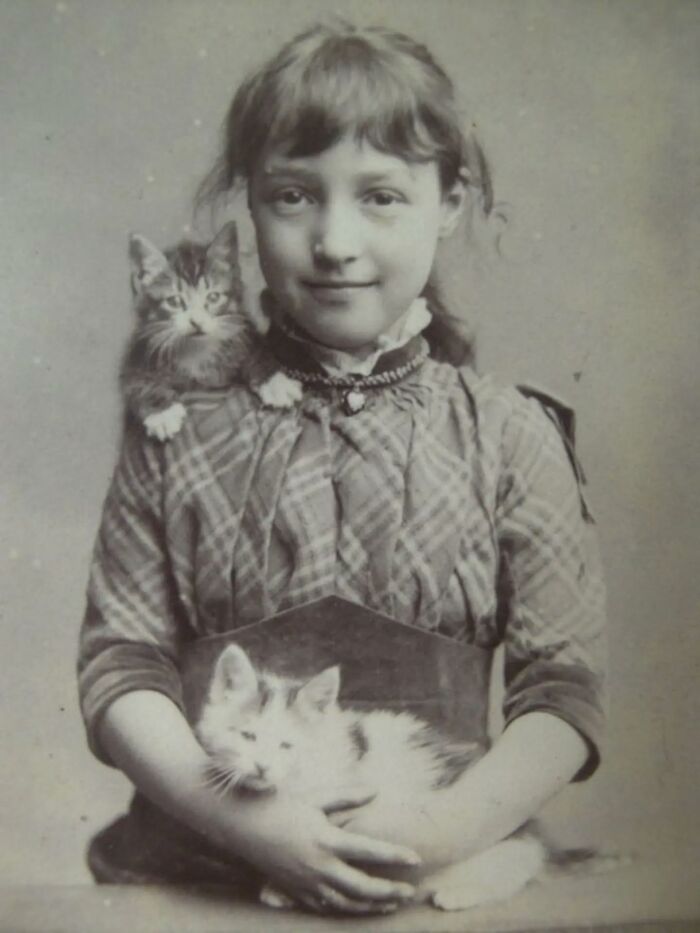 30 Vintage Photos Of Cats That Show Nothing Has Changed In Decades, Collected By This Journalist (New Pics) 30 Vintage Photos Of Cats That Show Nothing Has Changed In Decades, Collected By This Journalist (New Pics)