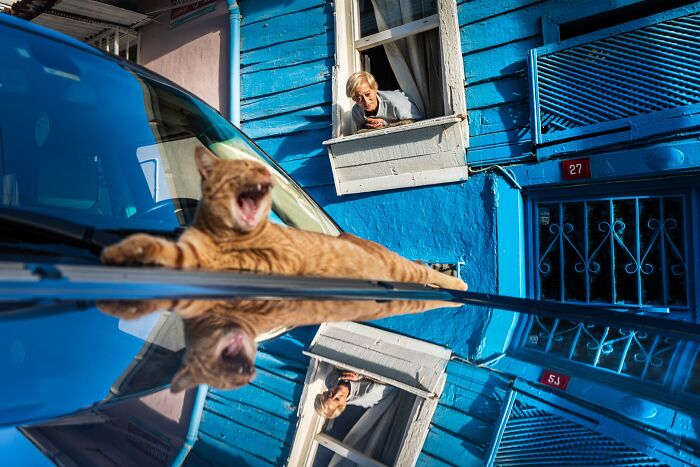 47 Images From The Edge Street Photography Awards That Turn Ordinary Scenes Into Art And Comedy 47 Images From The Edge Street Photography Awards That Turn Ordinary Scenes Into Art And Comedy