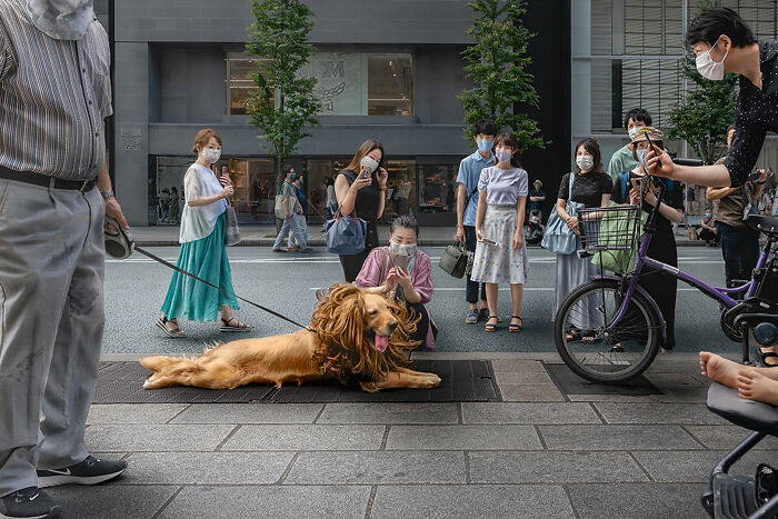 47 Images From The Edge Street Photography Awards That Turn Ordinary Scenes Into Art And Comedy 47 Images From The Edge Street Photography Awards That Turn Ordinary Scenes Into Art And Comedy