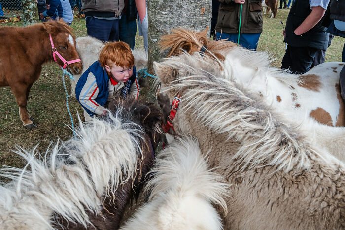 47 Images From The Edge Street Photography Awards That Turn Ordinary Scenes Into Art And Comedy 47 Images From The Edge Street Photography Awards That Turn Ordinary Scenes Into Art And Comedy