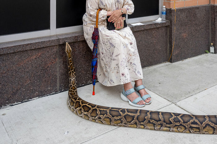 47 Images From The Edge Street Photography Awards That Turn Ordinary Scenes Into Art And Comedy 47 Images From The Edge Street Photography Awards That Turn Ordinary Scenes Into Art And Comedy