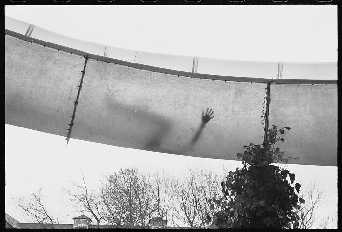 47 Images From The Edge Street Photography Awards That Turn Ordinary Scenes Into Art And Comedy 47 Images From The Edge Street Photography Awards That Turn Ordinary Scenes Into Art And Comedy
