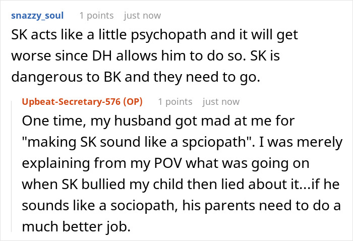 Stepson Keeps Bullying Woman’s 5YO, Dad Calls It “Boys Being Boys”, She Kicks Them Both Out Stepson Keeps Bullying Woman’s 5YO, Dad Calls It “Boys Being Boys”, She Kicks Them Both Out