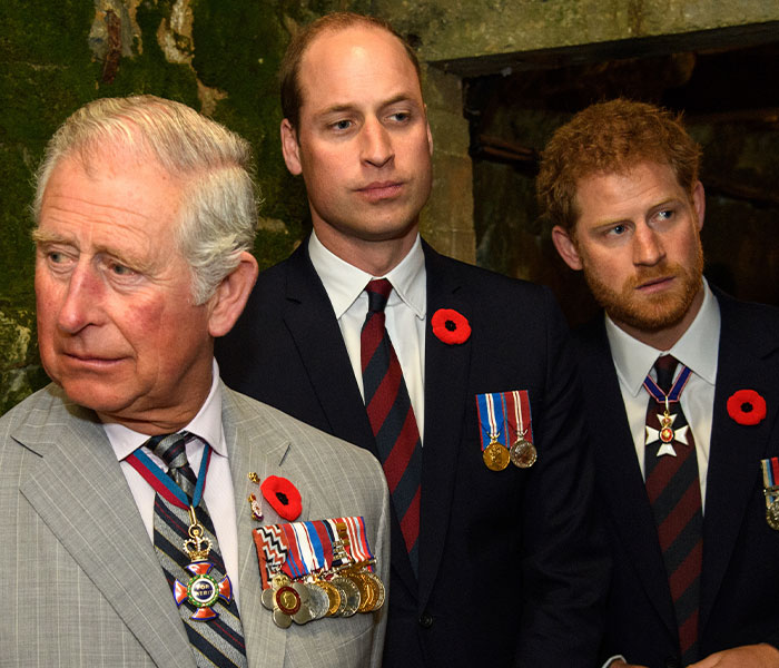 It&rsquo;s Not Just Harry: The Surprising Tension Between King Charles and Prince William